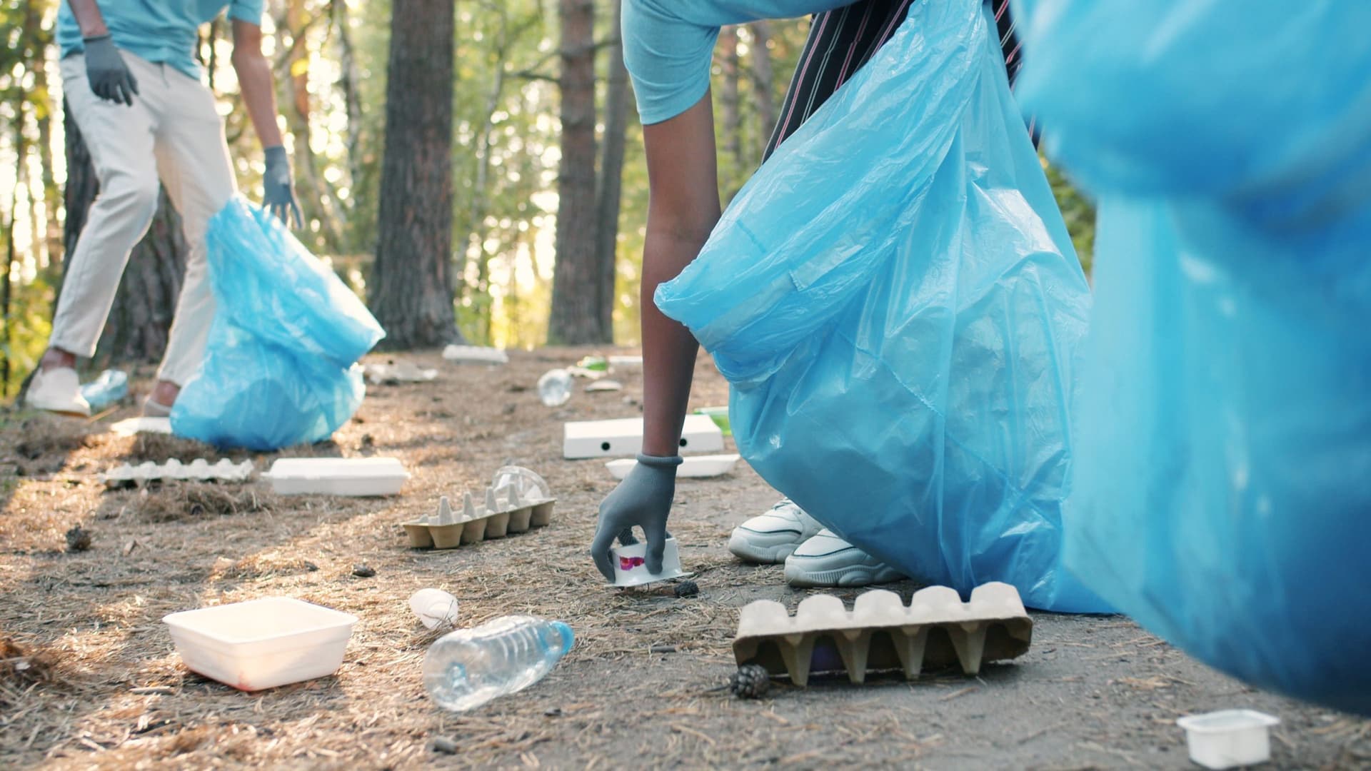 Doi voluntari cu mănuși de protecție strâng ambalaje și sticle de plastic de pe solul unei păduri și le pun în saci albaștri de gunoi.
